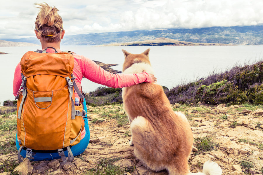 dog hikes