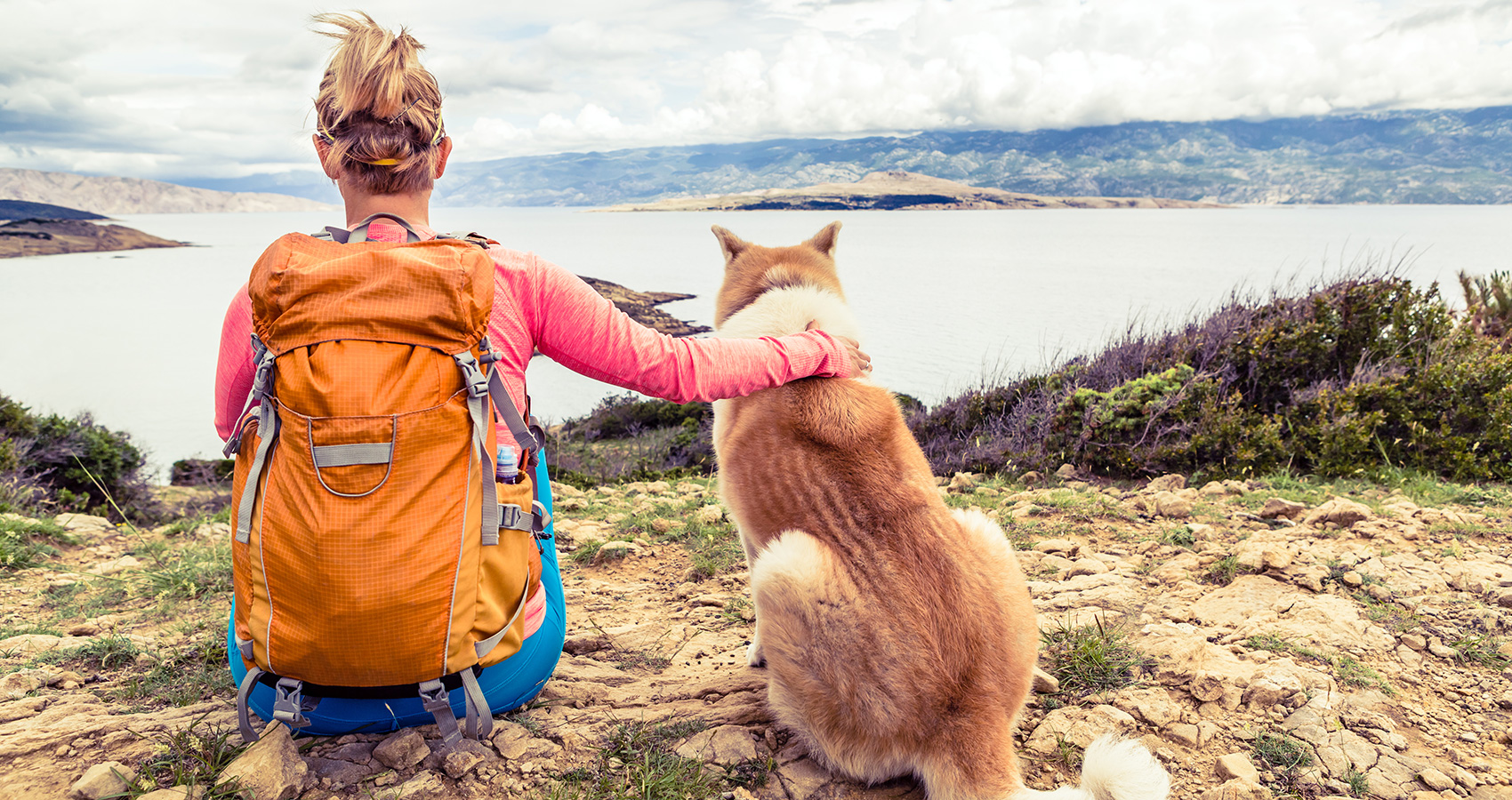 Our 3 Favorite Family (and Dog!) Friendly Hikes