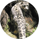 Vadim Rozengurt profile picture